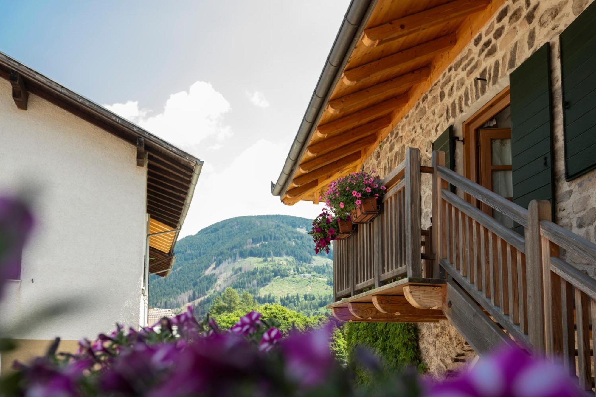 B&B Le Molinare Home Relax Varda エクステリア 写真